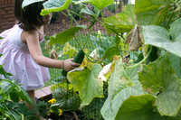 Cagle Partay 7-2009 163